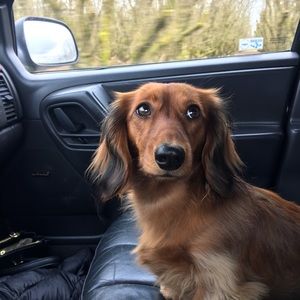 Meet your Posher, Chey